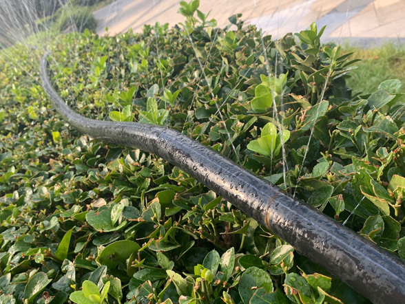 地埋噴灌,自動化灌溉,智能灌溉,石家莊地埋噴灌,石家莊自動化灌溉,石家莊智能灌溉